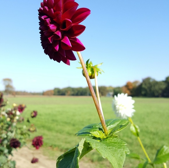 Check out my 3/20 - Picture 6 of 8